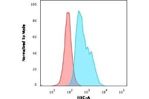 Flow Cytometric Analysis of Ramos cells using CD22 Mouse Monoclonal Antibody (RFB4) followed by goat anti-Mouse IgG-CF488 (Blue); Isotype Control (Red). (CD22 Antikörper)