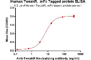 ELISA plate pre-coated by 2 μg/mL (100 μL/well) Human TweakR, mFc tagged protein (ABIN6961150, ABIN7042329 and ABIN7042330) can bind Anti-TweakR Neutralizing antibody ABIN7093050 and ABIN7272580 in a linear range of 0. (TNFRSF12A Protein (AA 28-80) (mFc Tag))