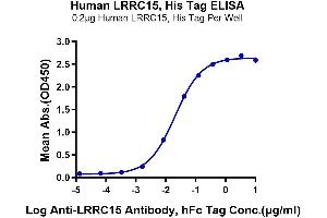 ELISA image for Leucine Rich Repeat Containing 15 (LRRC15) protein (His-Avi Tag) (ABIN7275215)