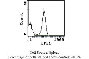 Mouse anti MHC Class II (RT1D) OX-17 (MHC Class II (RT1D) Antikörper (Biotin))