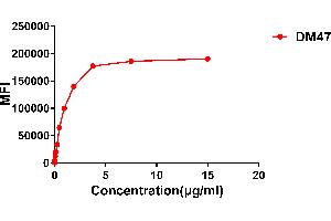 Flow cytometry data of serially titrated Rabbit anti- monoclonal antibody (clone: DM47) on Expi 293 cell line transfected with human . (Rekombinanter ACE2 Antikörper  (AA 18-740))