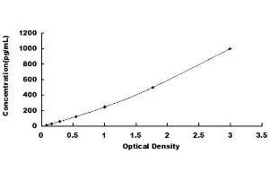 Typical Standard Curve (CCL15 ELISA Kit)