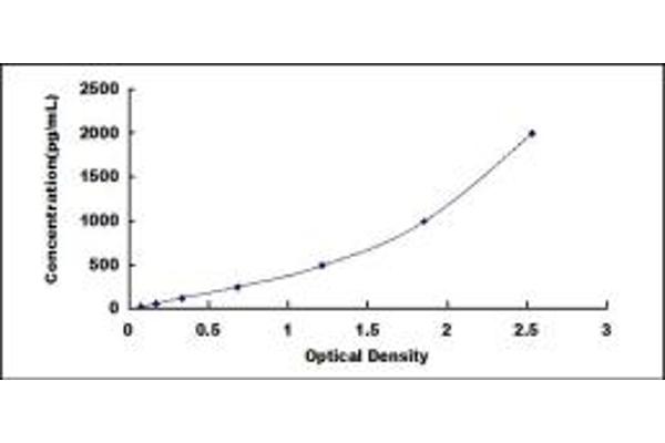 Anillin ELISA Kit