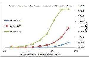 ELISA of Mouse Monoclonal anti-AKT3 antibody. (AKT3 Antikörper  (Internal Region) (FITC))