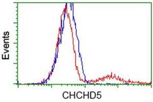 Image no. 2 for anti-Coiled-Coil-Helix-Coiled-Coil-Helix Domain Containing 5 (CHCHD5) antibody (ABIN1497489) (CHCHD5 Antikörper)