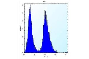 Flow Cytometry (FACS) image for anti-Claudin 2 (CLDN2) antibody (ABIN2996861) (Claudin 2 Antikörper)