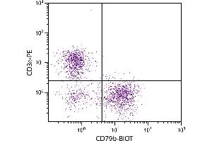 BALB/c mouse splenocytes were stained with Hamster Anti-Mouse CD79b-BIOT. (CD79b Antikörper  (Biotin))