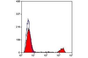 Flow Cytometry (FACS) image for anti-Killer Cell Lectin-Like Receptor Subfamily B, Member 1 (KLRB1) antibody (ABIN2478710) (CD161 Antikörper)