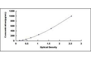 Typical standard curve (SNCA ELISA Kit)