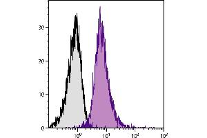 BALB/c mouse splenocytes were stained with Rat Anti-Mouse CD11a-PE/CY7. (ITGAL Antikörper)