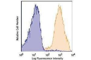 Flow Cytometry (FACS) image for anti-CD90/CD90.1 antibody (APC-Cy7) (ABIN2660713) (CD90/CD90.1 Antikörper (APC-Cy7))