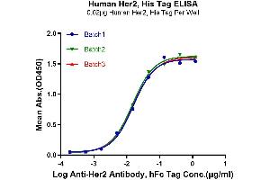 ELISA image for Receptor tyrosine-protein kinase erbB-2 (ErbB2/Her2) (AA 23-652) protein (His-Avi Tag) (ABIN7274799)