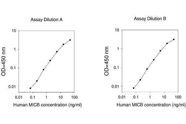 MICB ELISA Kit