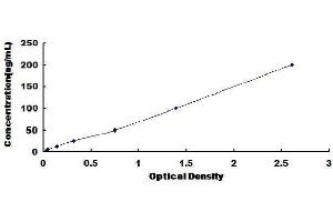 ELISA image for Coagulation Factor 13, B Polypeptide (F13B) ELISA Kit (ABIN1569668) (F13B ELISA Kit)