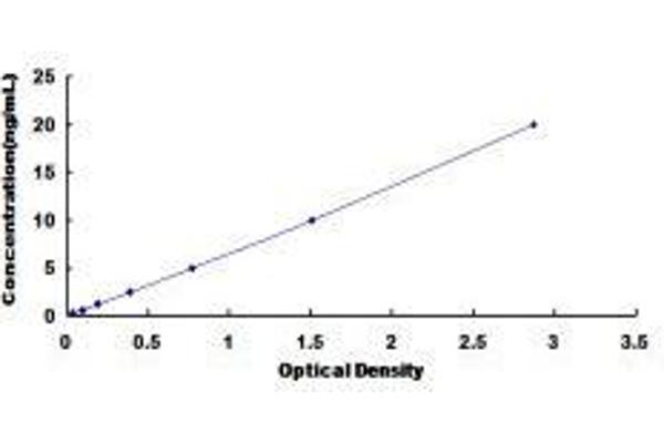 CHRNA7 ELISA Kit