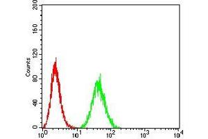 Flow cytometric analysis of Hela cells using B3GAT1 mouse mAb (green) and negative control (red). (CD57 Antikörper  (AA 193-334))