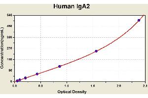 Diagramm of the ELISA kit to detect Human 1 gA2with the optical density on the x-axis and the concentration on the y-axis. (IgA2 ELISA Kit)