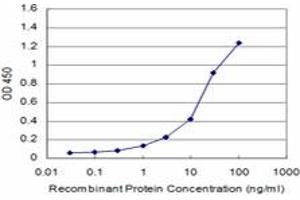 Detection limit for recombinant GST tagged CD34 is approximately 1ng/ml as a capture antibody. (CD34 Antikörper  (AA 32-141))