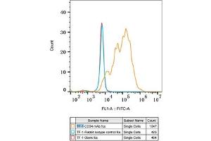 Flow cytometry: TF-1 cells were stained with Rabbit IgG isotype control (, 10 μg/mL, blue line) or CD34 Rabbit mAb (ABIN7266187, 10 μg/mL orange line), followed by FITC conjugated goat anti-Rabbit pAb (1:200 dilution) staining. (CD34 Antikörper)