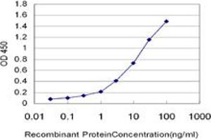 Detection limit for recombinant GST tagged KITLG is approximately 0. (KIT Ligand Antikörper  (AA 26-135))