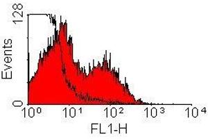 Flow Cytometry (FACS) image for Mouse anti-Rat Ig (Chain kappa), (Light Chain) antibody (HRP) (ABIN2475205) (Maus anti-Ratte Ig (Chain kappa), (Light Chain) Antikörper (HRP))