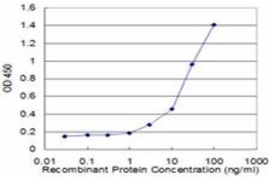 Detection limit for recombinant GST tagged KRT8 is approximately 1ng/ml as a capture antibody. (KRT8 Antikörper  (AA 91-195))