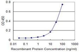 Detection limit for recombinant GST tagged AK1 is approximately 10ng/ml as a capture antibody. (Adenylate Kinase 1 Antikörper  (AA 1-194))