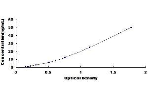 LAMC2 ELISA Kit