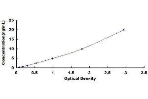 ELISA image for Mucin 2, Oligomeric Mucus/gel-Forming (MUC2) ELISA Kit (ABIN1571363) (MUC2 ELISA Kit)