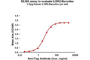 Elisa plates were pre-coated with Flag Tag I-Nanodisc (0. (ILDR2 Protein)