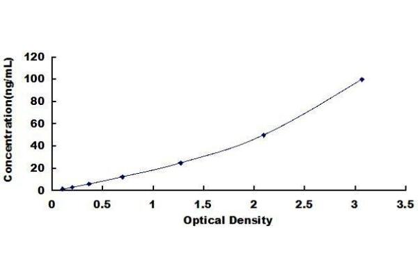 NAT1 ELISA Kit