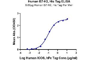 ELISA image for Inducible T-Cell Co-Stimulator Ligand (ICOSLG) (AA 19-258) protein (His-Avi Tag) (ABIN7273967)