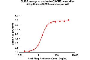 Elisa plates were pre-coated with Flag Tag C-Nanodisc (0. (CXCR2 Protein)