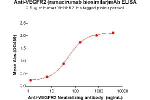 ELISA plate pre-coated by 5 μg/mL (100 μL/well) Human VE protein, His Tag ABIN6964112, ABIN7042479 and ABIN7042480 can bind Anti-VE Neutralizing antibody (ABIN7093076 and ABIN7272606) in a linear range of 6. (Rekombinanter VEGFR2 (Ramucirumab Biosimilar) Antikörper)
