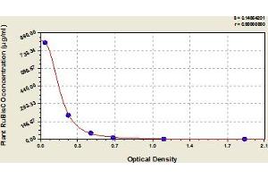 Typical Standard Curve (Ribulose-1,5-Bisphosphate Carboxylase/oxygenase(RuBisCO) ELISA Kit)