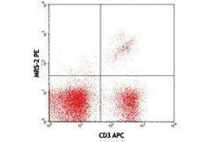 Flow Cytometry (FACS) image for anti-TCR V Beta8.1 antibody (PE) (ABIN2662873) (TCR V Beta8.1 Antikörper (PE))