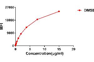 Flow cytometry data of serially titrated Rabbit anti-C monoclonal antibody  (clone: DM50) on Raji cells. (Rekombinanter CTLA4 Antikörper  (AA 36-161))