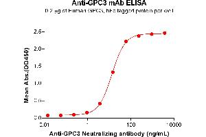 ELISA plate pre-coated by 2 μg/mL (100 μL/well) Human Protein, hFc Tag (ABIN7092674, ABIN7272488 and ABIN7272489) can bind Anti- Neutralizing antibody (ABIN7478032 and ABIN7491011) in a linear range of 0. (Rekombinanter GPC3 (Hu9F2 Biosimilar) Antikörper)