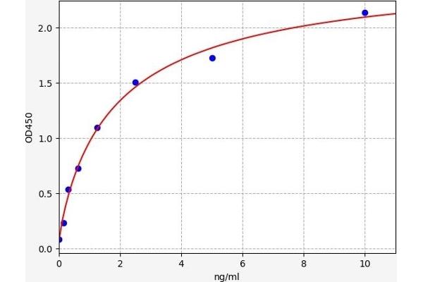 Chitotriosidase 1 ELISA Kit