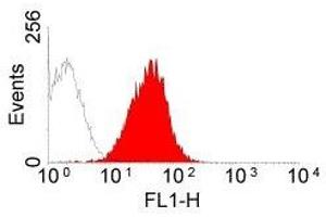 Flow Cytometry (FACS) image for anti-MHC Class I (RT1Ac) antibody (ABIN2475609) (MHC Class I (RT1Ac) Antikörper)