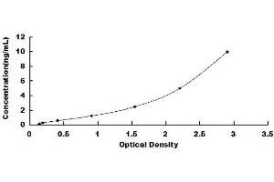 CD200R1 ELISA Kit