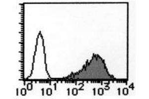 Flow Cytometry (FACS) image for anti-Transferrin Receptor (p90, CD71) (TFRC) antibody (ABIN1449271) (Transferrin Receptor Antikörper)