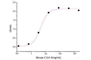 ELISA image for Cytotoxic T-Lymphocyte-Associated Protein 4 (CTLA4) (Active) protein (His tag) (ABIN7320509) (CTLA4 Protein (His tag))