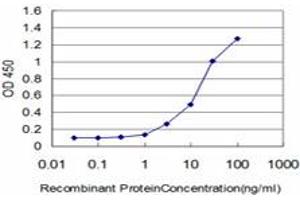 Detection limit for recombinant GST tagged FLT4 is approximately 1ng/ml as a capture antibody. (FLT4 Antikörper  (AA 34-133))