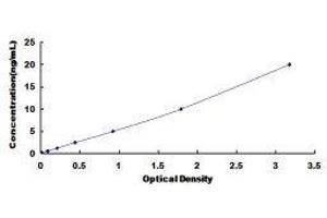 ELISA image for Annexin A5 (ANXA5) ELISA Kit (ABIN6730890)