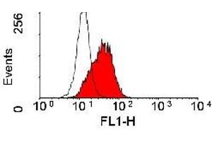 Flow Cytometry (FACS) image for anti-Activated Leukocyte Cell Adhesion Molecule (ALCAM) antibody (ABIN2478745) (CD166 Antikörper)