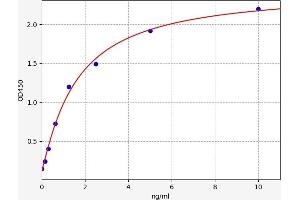 PCDHGA2 ELISA Kit