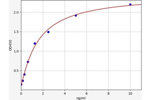 PCDHGA2 ELISA Kit