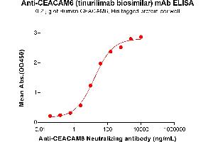 ELISA plate pre-coated by 2 μg/mL (100 μL/well) Human CEA Protein, His Tag ABIN6964142, ABIN7042563 and ABIN7042564 can bind Anti-CEA Neutralizing antibody (ABIN7477999 and ABIN7490936) in a linear range of 0. (Rekombinanter CEACAM6 (Tinurilimab Biosimilar) Antikörper)