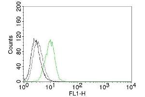 Flow Cytometry of human p27 on HeLa cells. (CDKN1B Antikörper  (CF®488A))